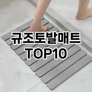 [레알핫템]규조토발매트 추천 순위 구매가이드 TOP10 장단점
