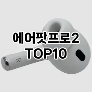 [리얼후기]에어팟프로2 추천 순위 구매가이드 TOP10 2026년 5월2주차