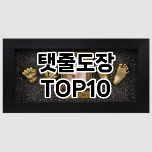 [리뷰리뷰]탯줄도장 추천 순위 구매가이드 TOP10 국민템