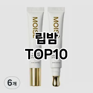 [추천리뷰]립밤 추천 순위 구매가이드 TOP10 빠른배송