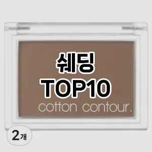 [솔직리뷰]쉐딩 추천 순위 구매가이드 TOP10 국민템