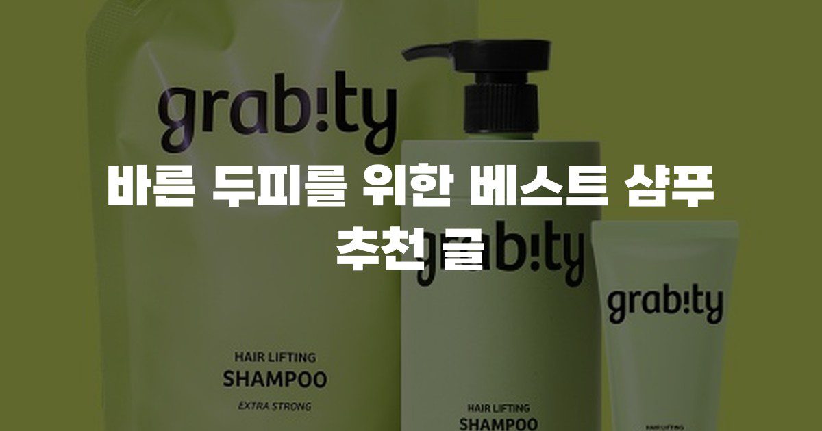 바른 두피를 위한 베스트 샴푸 추천 글