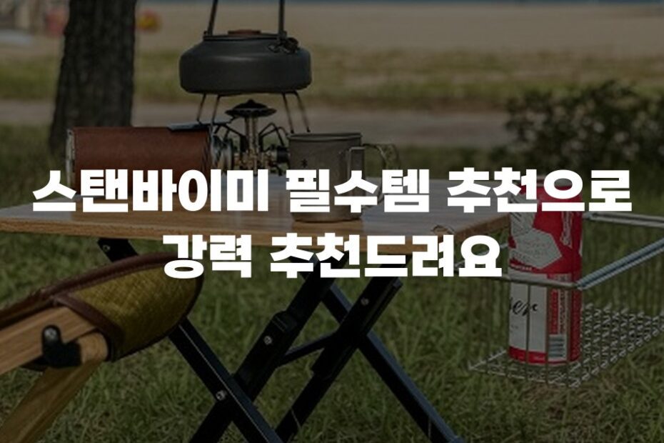 스탠바이미 필수템 추천으로 강력 추천드려요